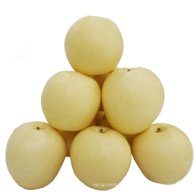 2021 New Harvest Low Price Fresh Sweet juicy Light Yellow Crown Pear
